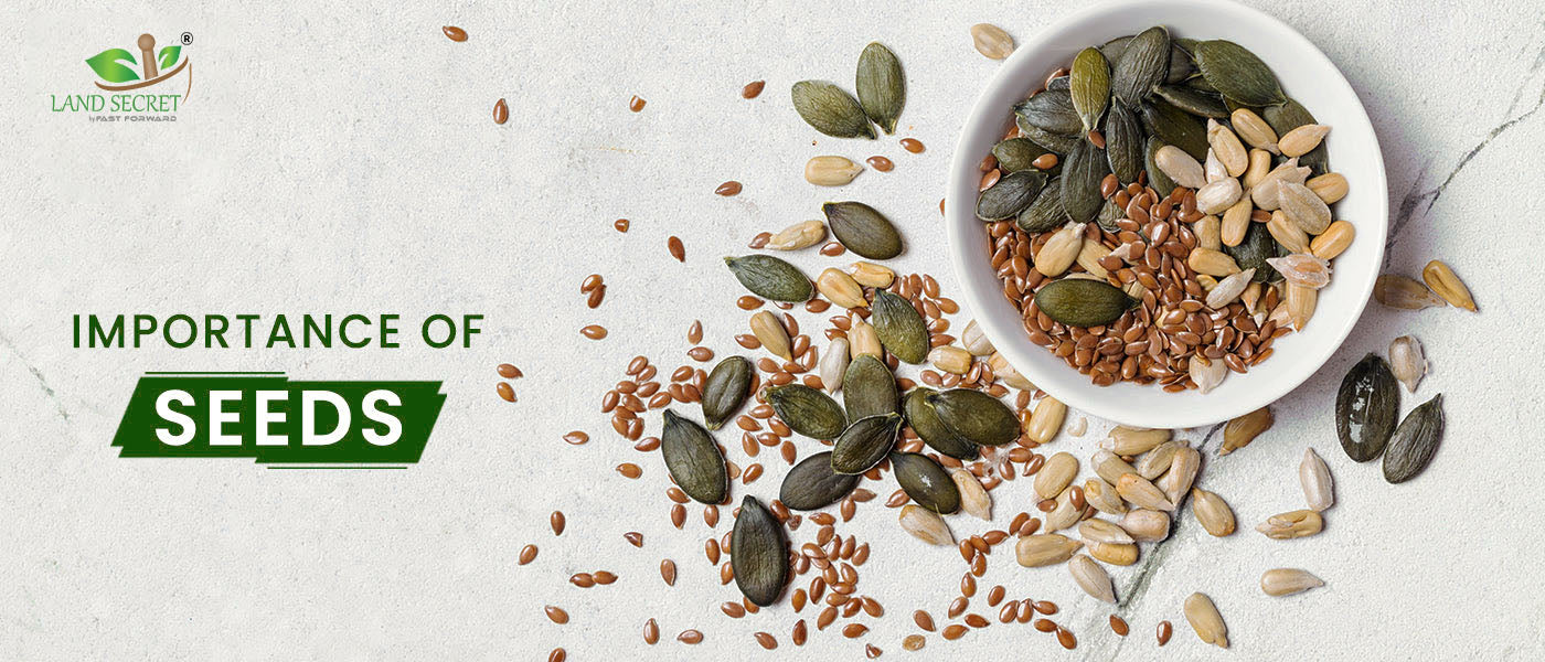Herbal Seeds