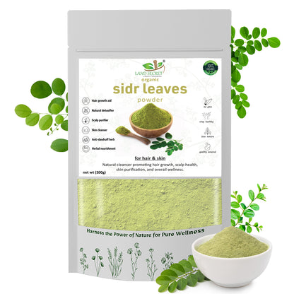 100% Natural Sidr Leaves Powder – Herbal Cleanser for Hair, Skin & Scalp Care | Anti-Dandruff, Anti-Acne, and Detoxifying Herbal Remedy