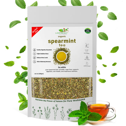 Herbal Spearmint Tea – Refreshing, 100% Natural, and Healthy Tea for Digestive Health & Relaxation