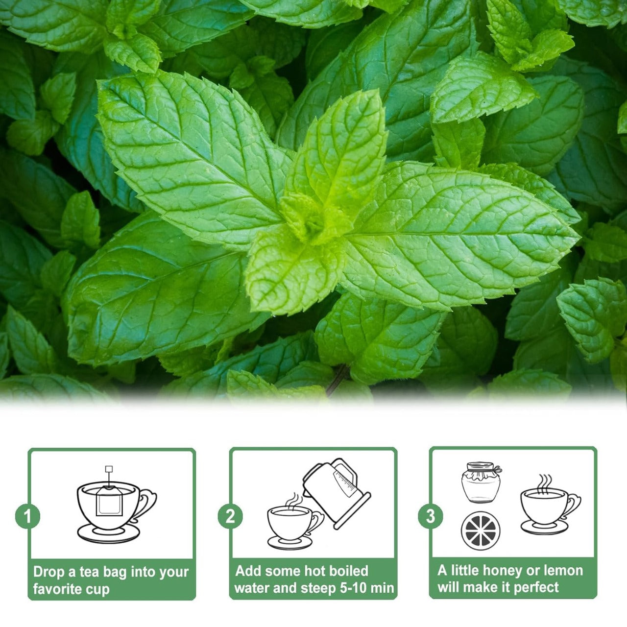 Herbal Spearmint Tea – Refreshing, 100% Natural, and Healthy Tea for Digestive Health & Relaxation