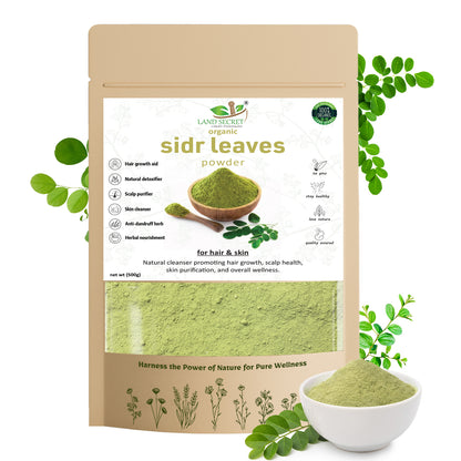 100% Natural Sidr Leaves Powder – Herbal Cleanser for Hair, Skin & Scalp Care | Anti-Dandruff, Anti-Acne, and Detoxifying Herbal Remedy