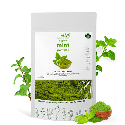 Land-Secret-mint-powder-100g