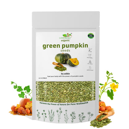 Premium Green Pumpkin Seeds – Nutritious, Raw, & Rich in Essential Nutrients