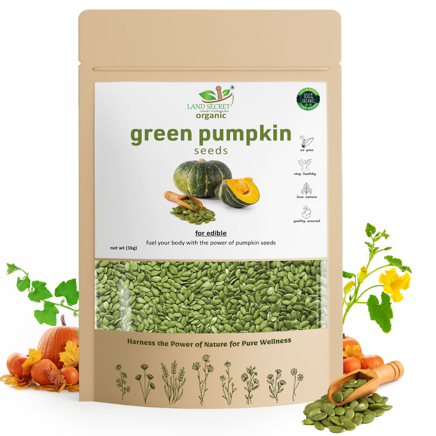 Premium Green Pumpkin Seeds – Nutritious, Raw, & Rich in Essential Nutrients