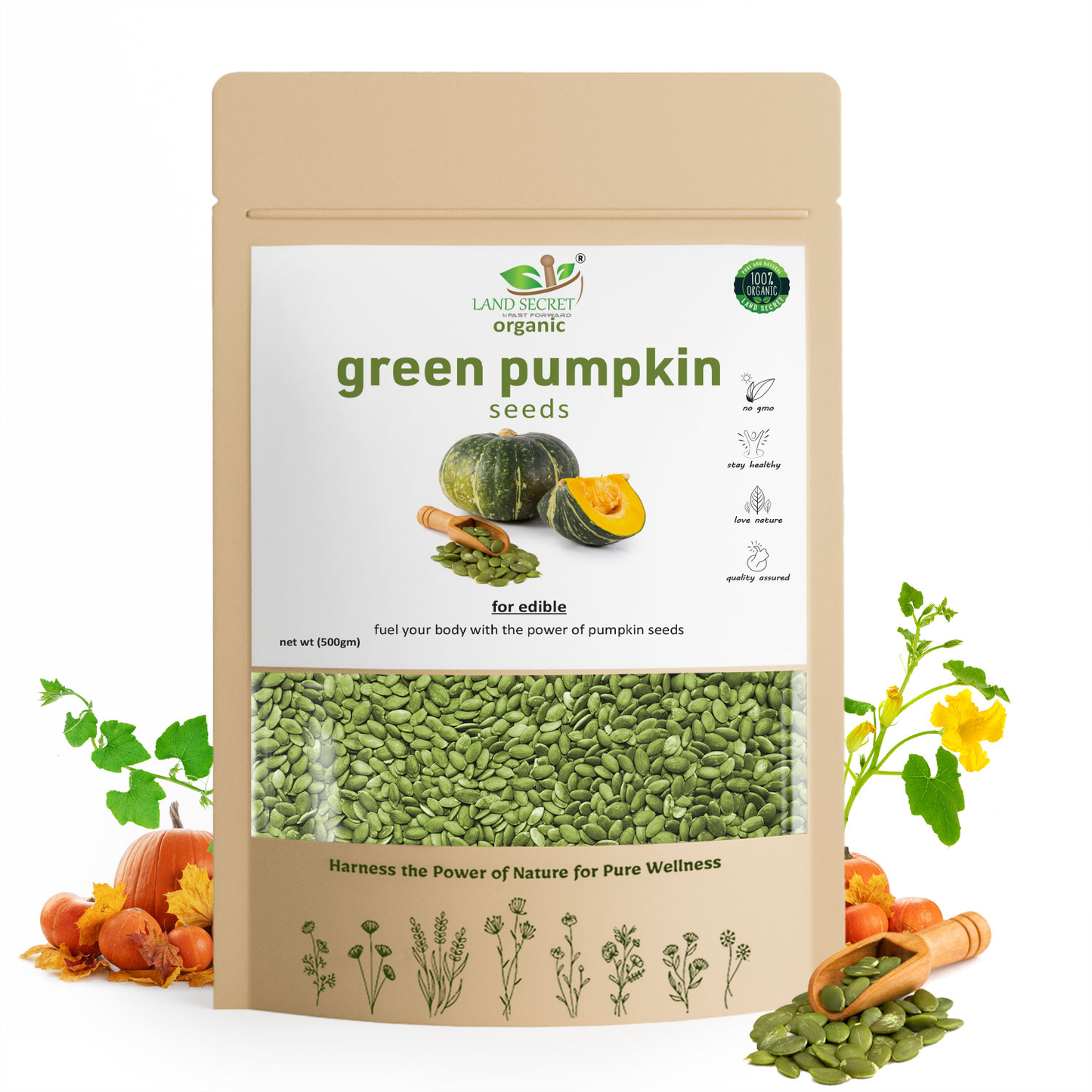 Premium Green Pumpkin Seeds – Nutritious, Raw, & Rich in Essential Nutrients