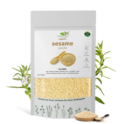 Premium Sesame Seeds – Rich in Calcium, Iron & Healthy Fats for Everyday Nutrition