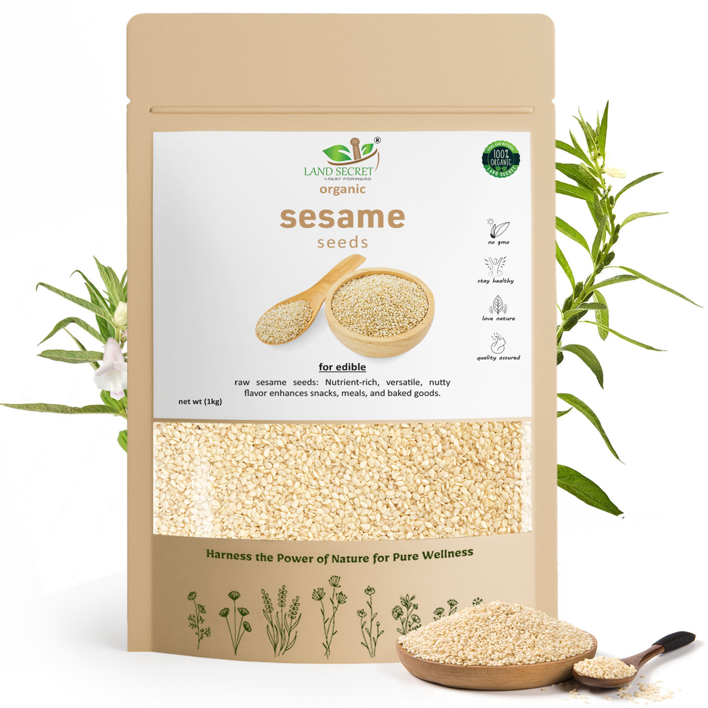 Premium Sesame Seeds – Rich in Calcium, Iron & Healthy Fats for Everyday Nutrition