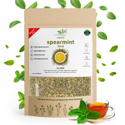 Herbal Spearmint Tea – Refreshing, 100% Natural, and Healthy Tea for Digestive Health & Relaxation