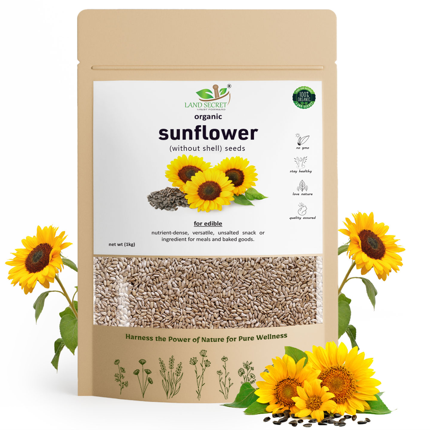 Premium Sunflower Seeds (Without Shell) – Nutrient-Rich, Ready-to-Eat Superfood