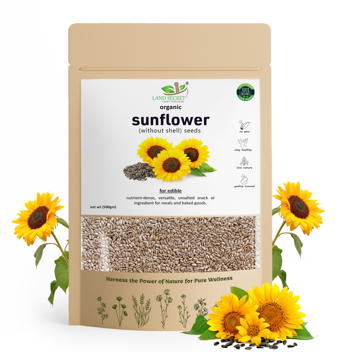 Premium Sunflower Seeds (Without Shell) – Nutrient-Rich, Ready-to-Eat Superfood