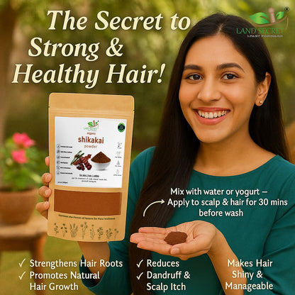 Shikakai Powder for Hair Growth Acacia Concinna Shikai Powder 100% Pure and Natural Hair Conditioner