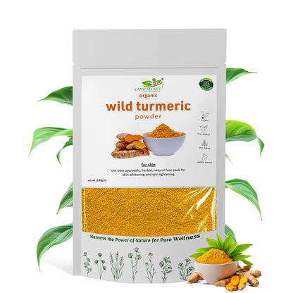 Land-Secret-organic-wild-turmeric-powder